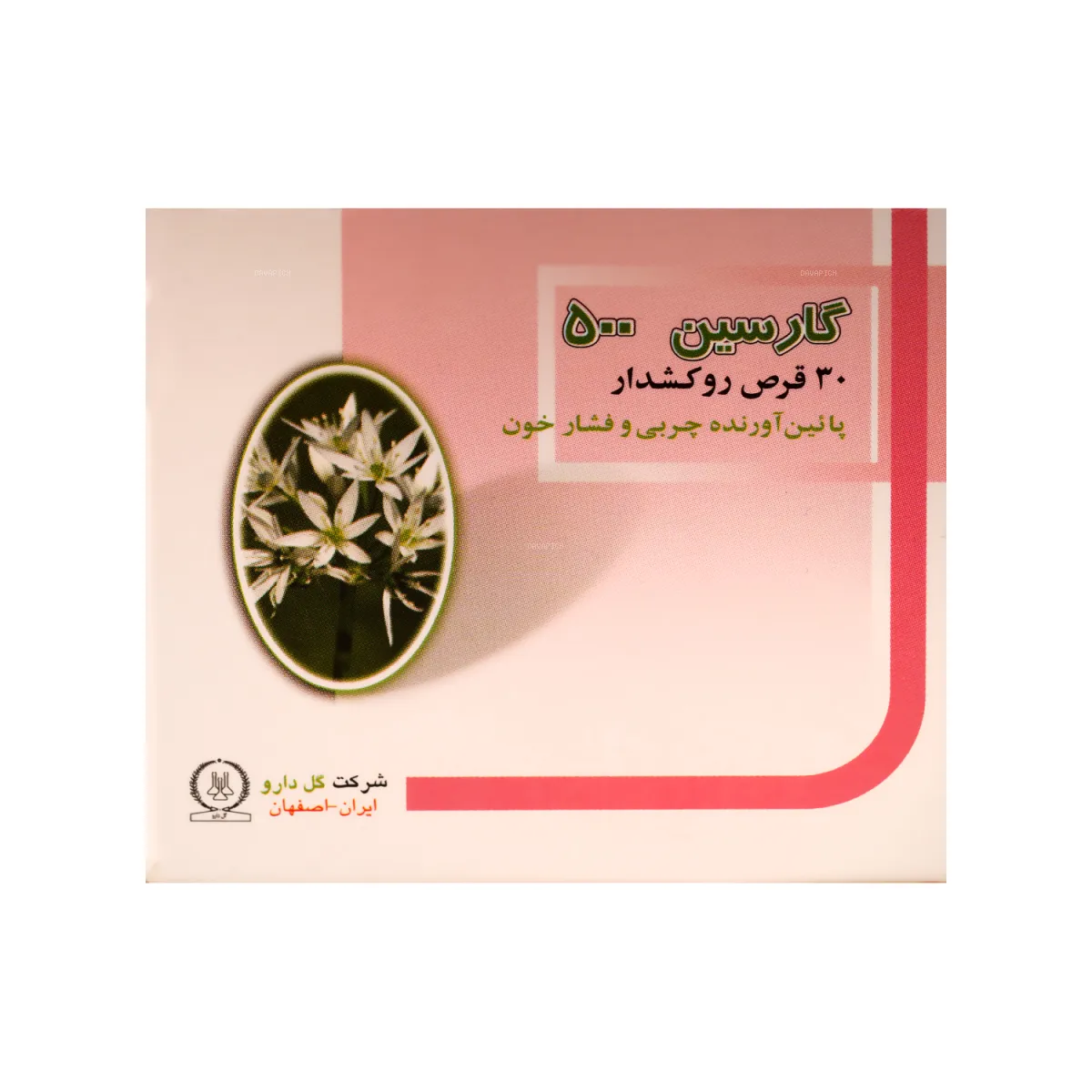 قرص گارسین گل دارو 500 میلی گرم