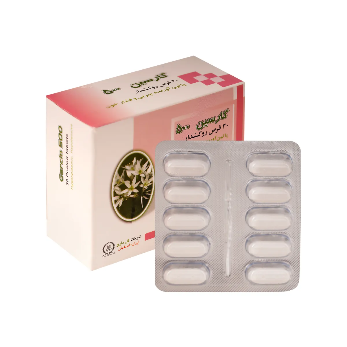 قرص گارسین گل دارو 500 میلی گرم